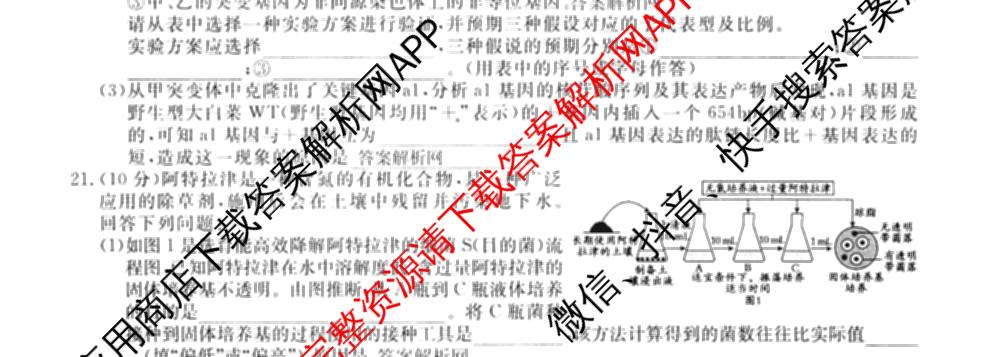 2026届高三总复名师原创模拟(十一)11试卷及答案汇总（含地理(XS6)、政治(CQX6)、政治(新S6JG)等）生物试题