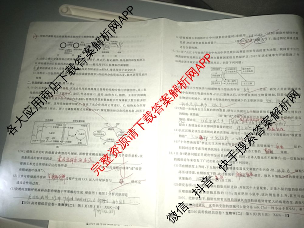 2026年普通高等学校招生全国统一考试模拟信息卷(二)2(已更新政治(XGK-A)、物理(XGK-B)、语文(XGK-A)等13份)生物试题
