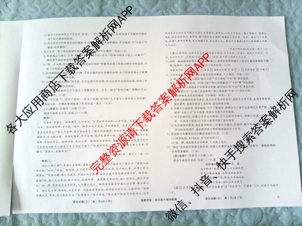 衡水真题密卷2025-2026学年度综合能力调研检测(三)3各科答案及试卷（11科全）语文试题