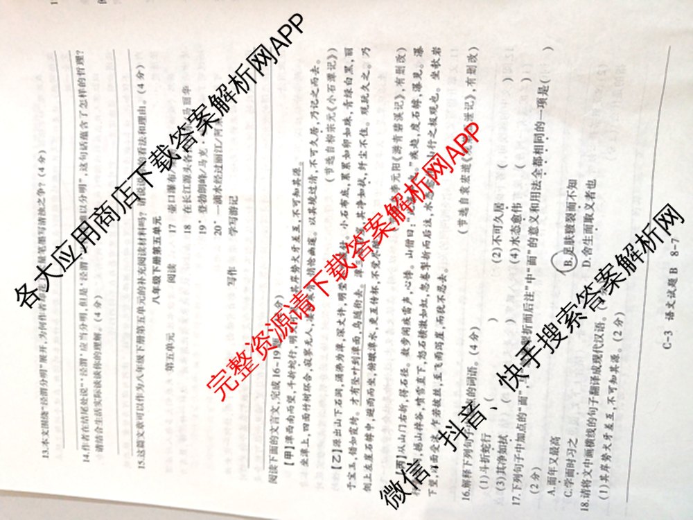 C-32025年陕西省初中学业水平考试模拟试题[试卷类型B]（7科全）语文试题