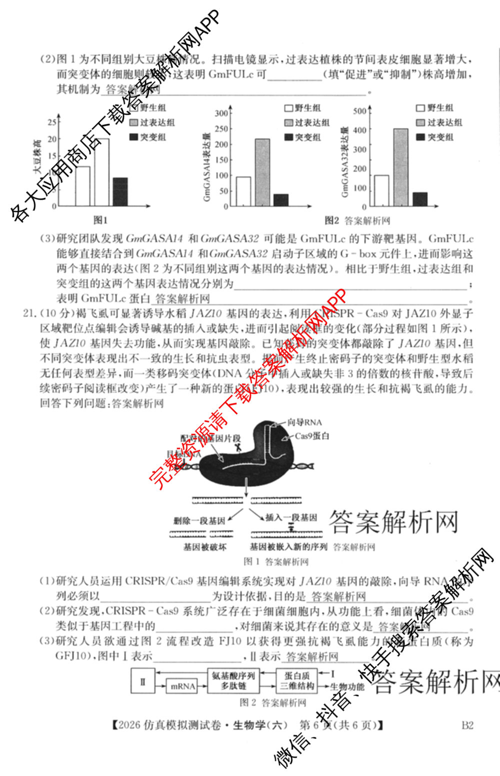 2026年全国高考仿真模拟测试卷(六)6试卷及答案汇总(已更新政治(河南) 物理(B1) 英语等9份)生物试题