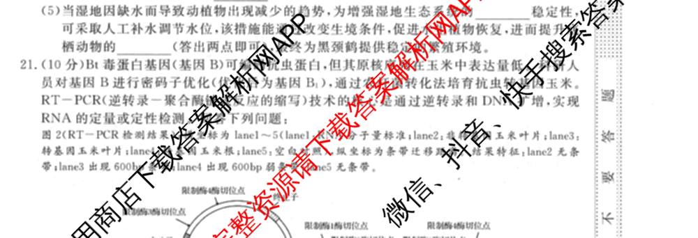 2026普通高等学校招生全国统一考试冲刺押题卷(四)4（含化学、地理(HNY)、物理等）生物试题