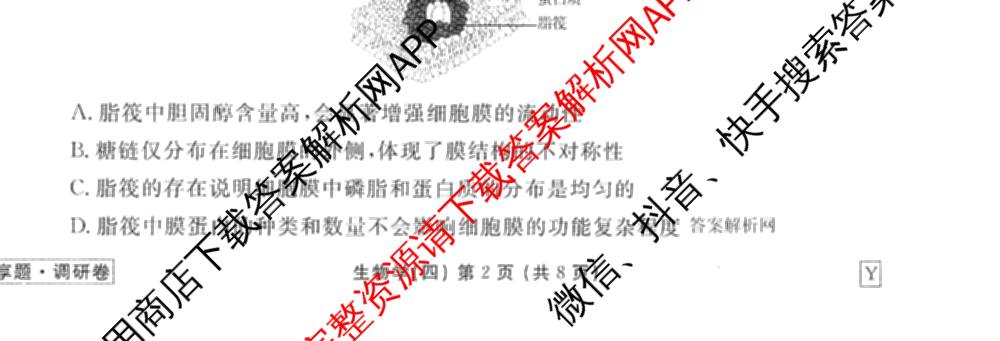 衡水金卷先享题调研卷2026年普通高等学校招生全国统一考试模拟试题(四)4(已更新生物(山东专版) 理综 历史(JS)等91份)生物试题