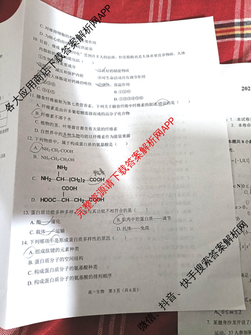 安徽省2025-2026学年度第一学期练1高一: 含数学 生物 化学试卷解析生物试题