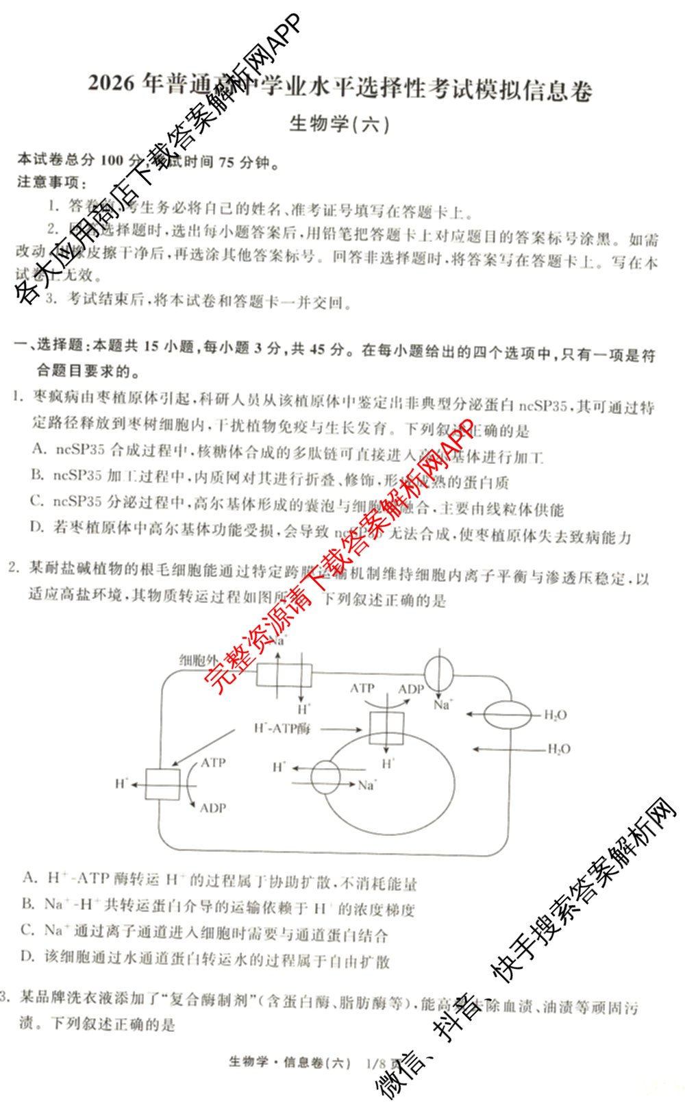 天舟高考衡中同卷2026年普通高等学校招生全国统一考试模拟信息卷(六)6（含化学(山东版)、政治(DB)、物理(山东版)等35份）生物试题