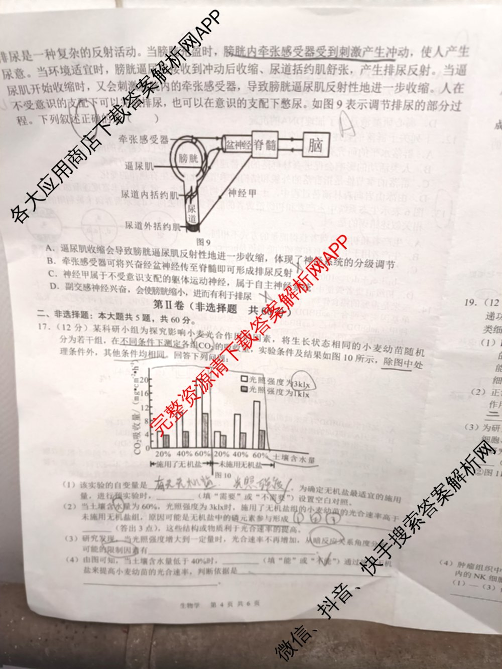 广西2024届贵百河4月高三质量调研联考各科答案及试卷: 含生物、化学、数学试卷解析生物试题