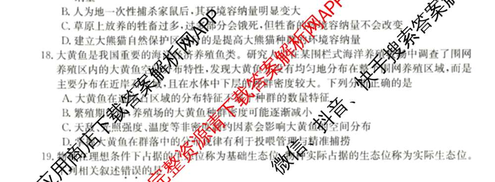 2024~2025全国名校高二上学期第一次月考试卷(含英语(选择性必修第三册-RJ-G-唐) 化学(选择性必修1-RJ-G-宋) 地理(选择性必修1-RJ-G-唐)等)生物试题 2024~2025全国名校高二上学期第一次月考试卷(含英语(选择性必修第三册-RJ-G-唐) 化学(选择性必修1-RJ-G-宋) 地理(选择性必修1-RJ-G-唐)等)生物试题