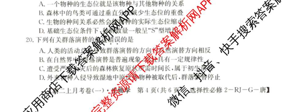 2024~2025全国名校高二上学期第一次月考试卷(含英语(选择性必修第三册-RJ-G-唐) 化学(选择性必修1-RJ-G-宋) 地理(选择性必修1-RJ-G-唐)等)生物试题 2024~2025全国名校高二上学期第一次月考试卷(含英语(选择性必修第三册-RJ-G-唐) 化学(选择性必修1-RJ-G-宋) 地理(选择性必修1-RJ-G-唐)等)生物试题