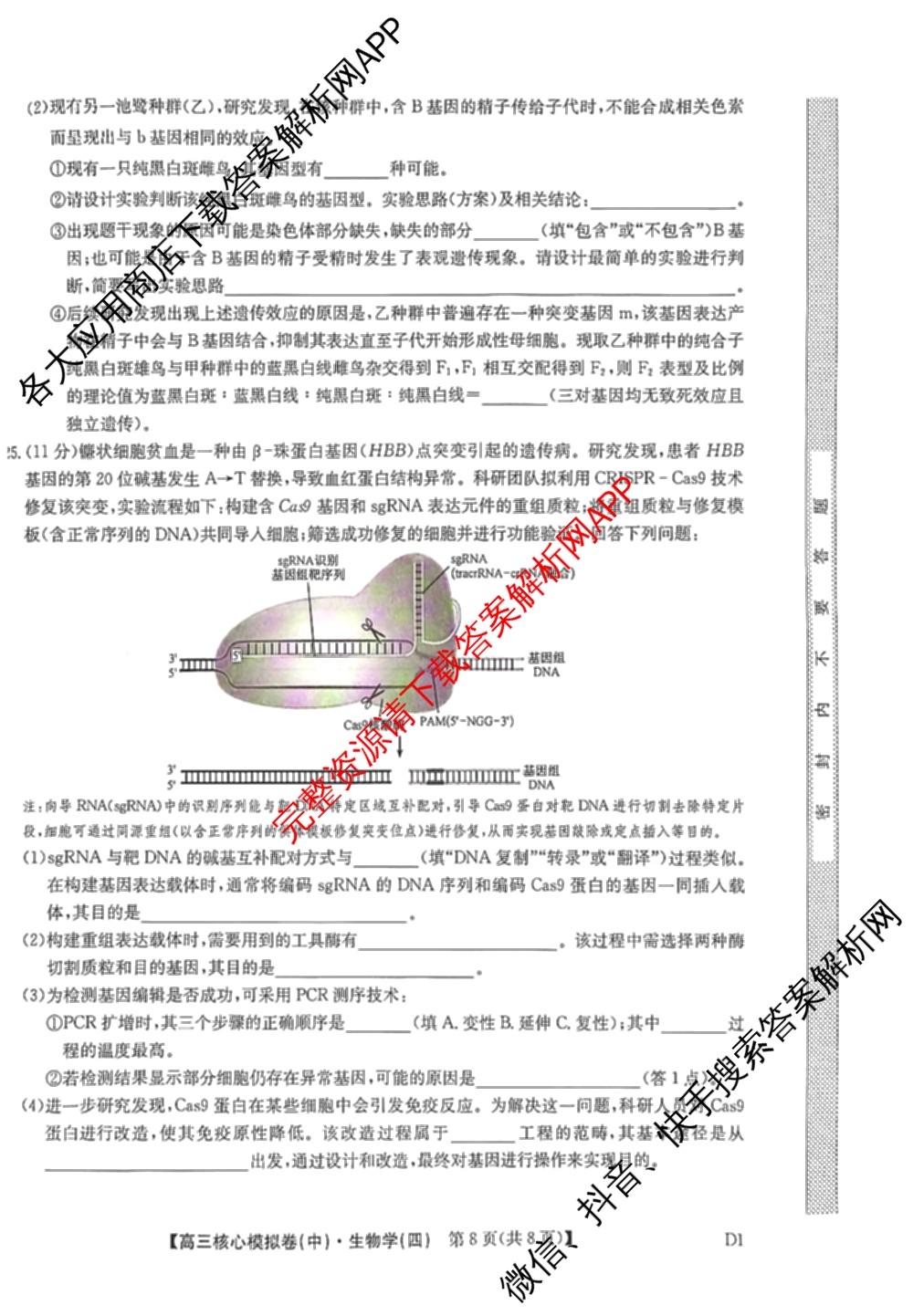 九师联盟2025~2026学年高三核心模拟卷(中)(四)（含政治(D4) 物理(HF) 语文等）生物试题