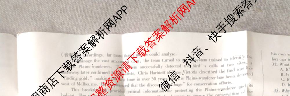 天一大联考2024-2025学年(下)高二年级期中考试各科答案及试卷(已更新数学(北师大版)、政治(B卷)、数学等13份)英语试题