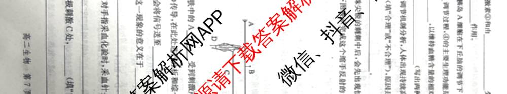 河北省2024级高二年级大数据应用调研阶段性联合测评(II)各科答案及试卷(含地理(A卷)、数学、化学(苏教版)等9份)生物试题 河北省2024级高二年级大数据应用调研阶段性联合测评(II)各科答案及试卷(含地理(A卷)、数学、化学(苏教版)等9份)生物试题