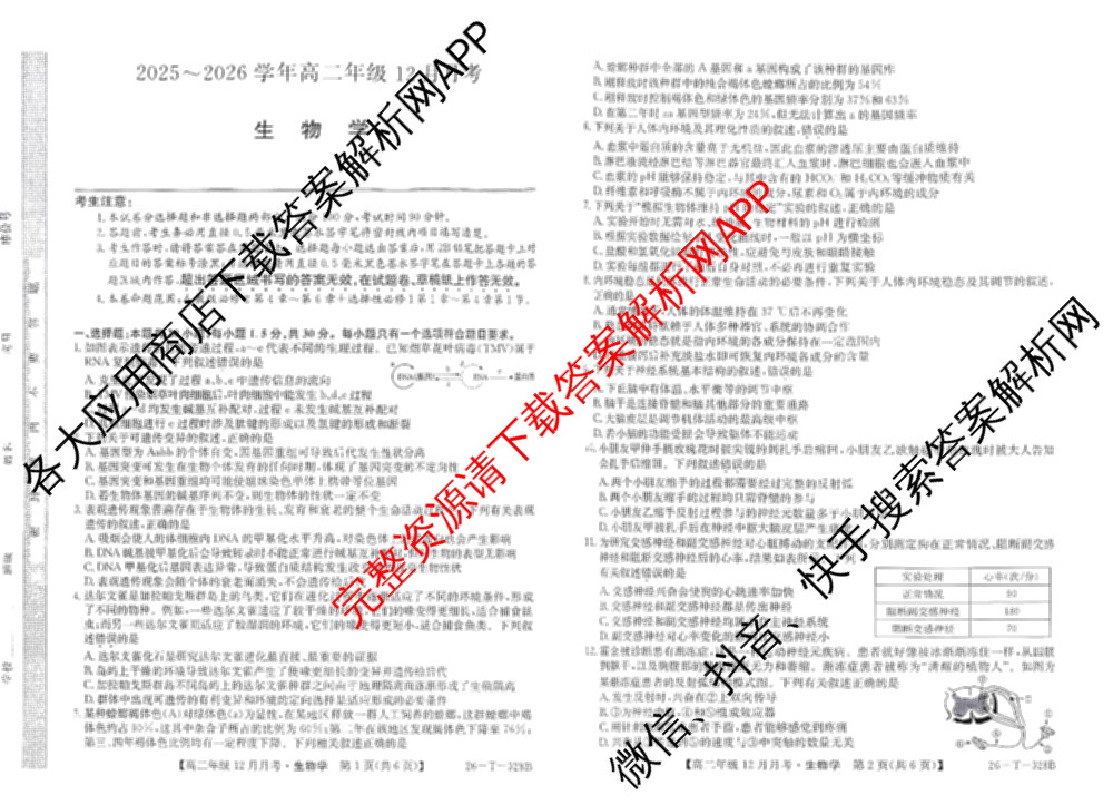 辽宁省2025~2026学年高二年级12月月考(26-T-328B)各科答案及试卷（含化学、语文、生物等）生物试题