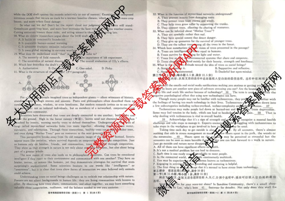 2026届高考预测压轴综合训练(一)1试卷及答案汇总（10科全）英语试题