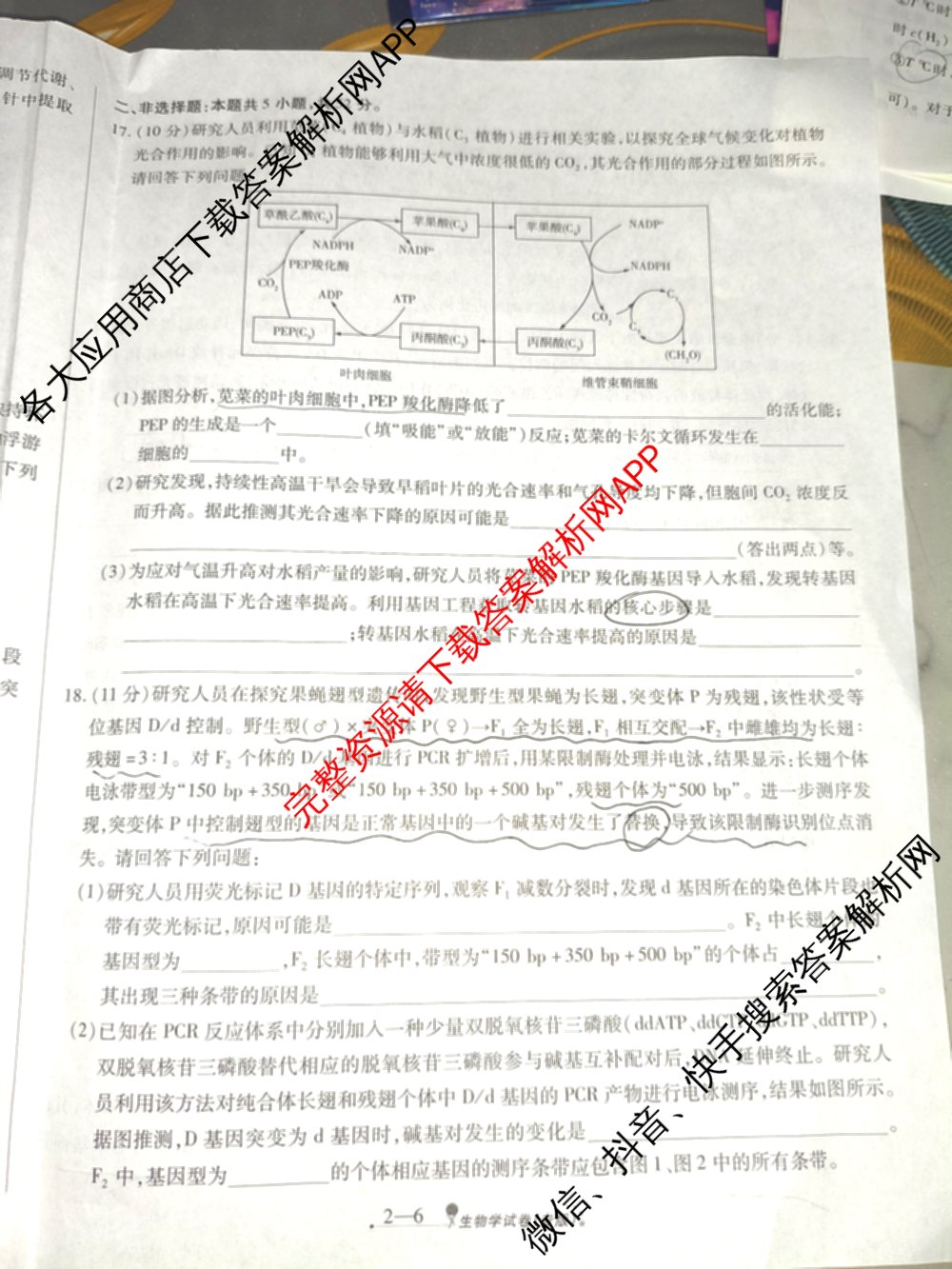 天一大联考2026届高考全真模拟卷(二)2试卷及答案汇总（含政治(湖南专版)、物理(山西专版)、生物(安徽专版)等）生物试题