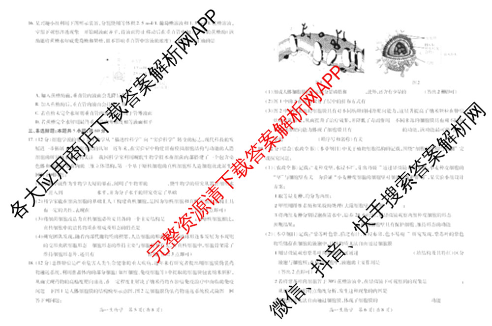上进联考江西省2025-2026学年度上学期12月学情检测高一试卷及答案汇总（9科全）生物试题