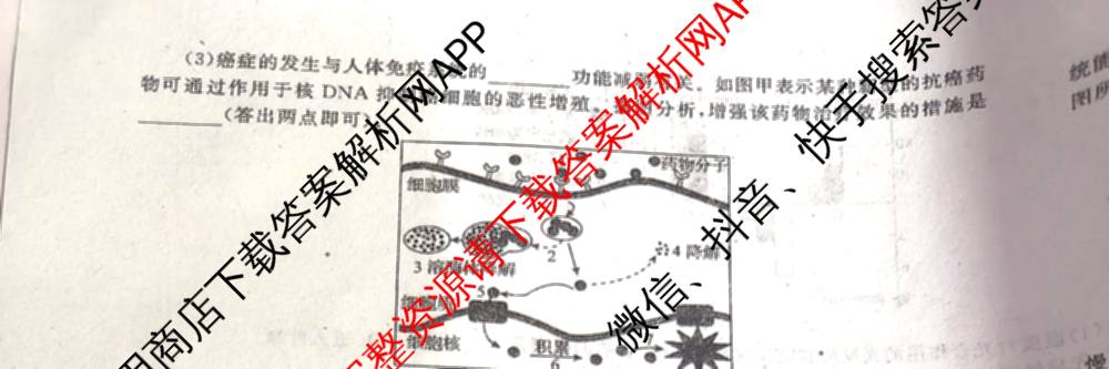 天舟高考衡中同卷2026年普通高等学校招生全国统一考试模拟调研卷(一)1（含化学(JY)、化学(山东版)、语文(A)等）生物试题