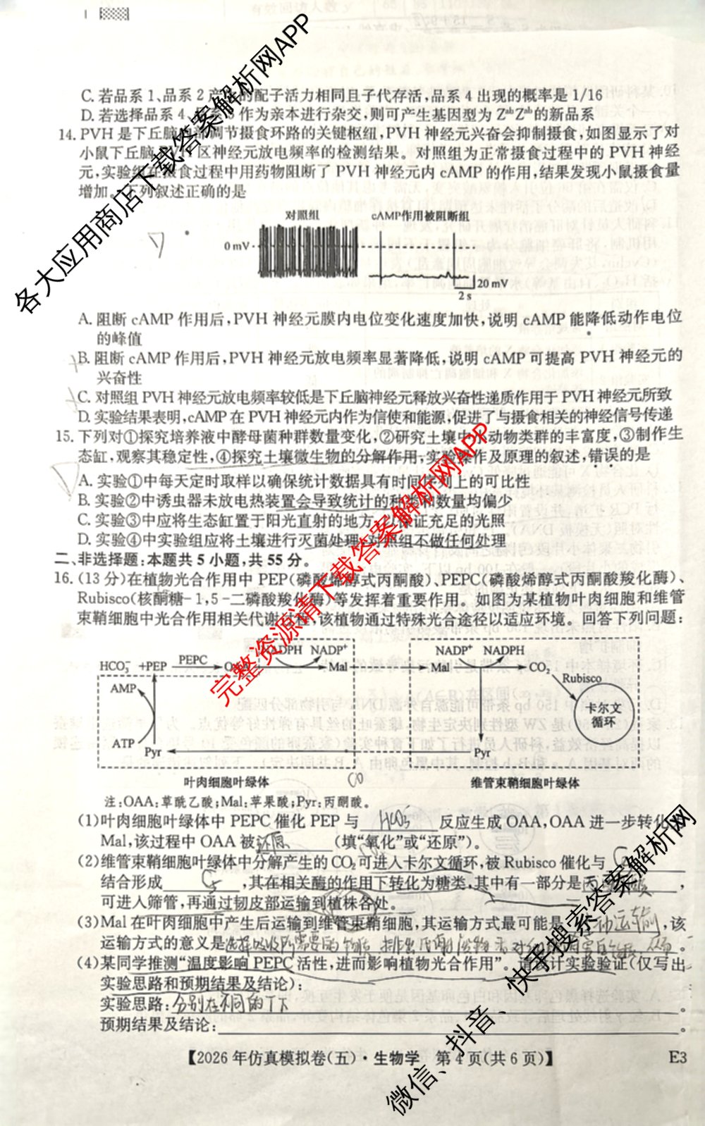 2026年全国高考仿真模拟卷(五)5试卷及答案汇总（含政治(河南)、物理(广西)、政治(E2)等）生物试题