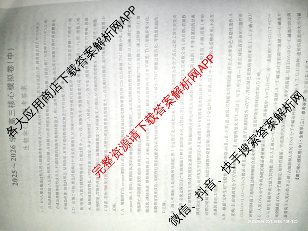 九师联盟2025~2026学年高三核心模拟卷(中)(三)3试卷及答案汇总: 含历史(B)、历史(D2)、物理(A1)试卷解析生物答案