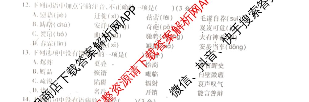 陕西省2024年普通高中学业水合格性考试全真模拟试题(B)(4月)（11科全）语文试题
