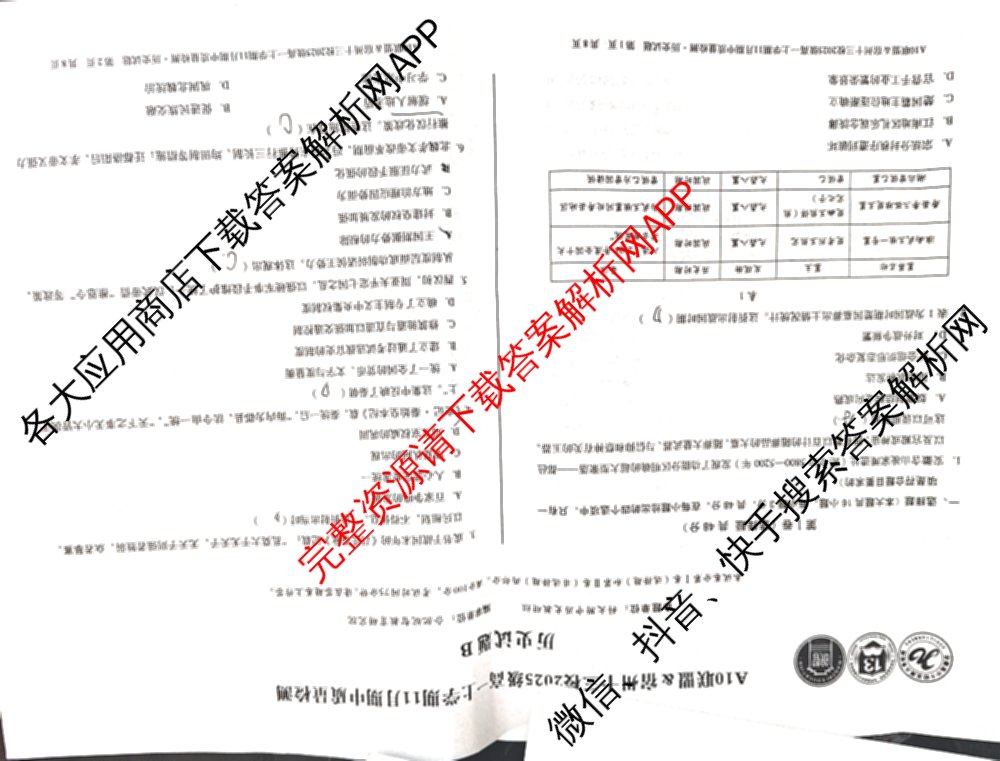 A10联盟&宿州十三校2025级高一上学期11月期中质量检测试卷及答案汇总（19科全）历史试题