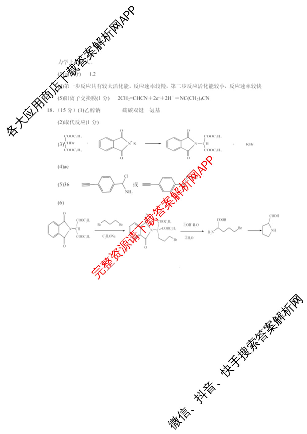 重庆市高2026届高三上学期十二月联合诊断考试各科答案及试卷（9科全）化学答案