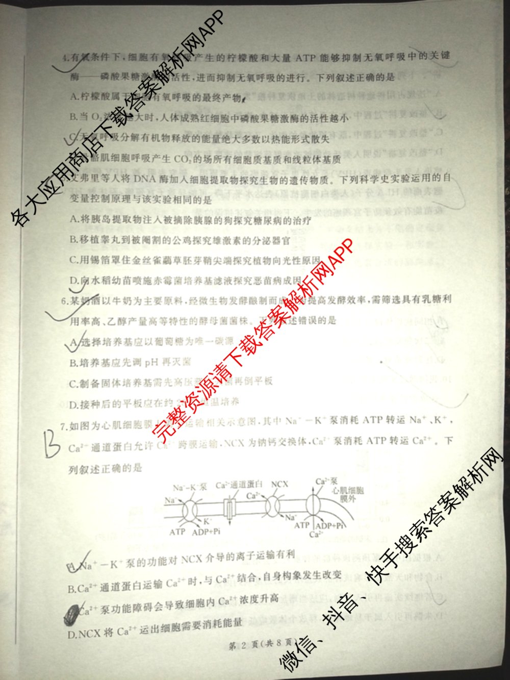 山西省百师联盟2027届高三上学期开学摸底联考(2026年8月)试卷及答案汇总（9科全）生物试题