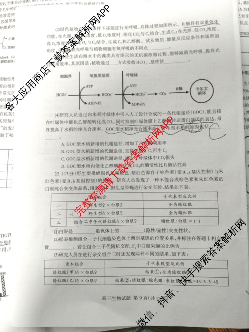 [泰安二模]2024年泰安市高三二轮检测(2024.04)（含地理 生物 语文等9份）生物试题