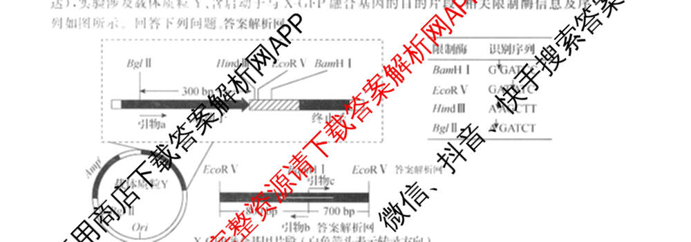 天舟高考衡中同卷2026年普通高等学校招生全国统一考试模拟信息卷(六)6试卷及答案汇总: 含化学(山东版) 英语(通用版) 生物(WY)试卷解析理综试题