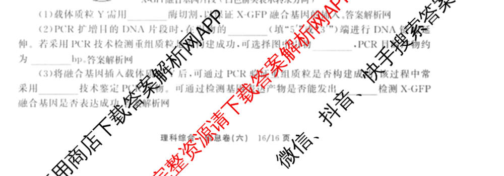 天舟高考衡中同卷2026年普通高等学校招生全国统一考试模拟信息卷(六)6试卷及答案汇总: 含化学(山东版) 英语(通用版) 生物(WY)试卷解析理综试题