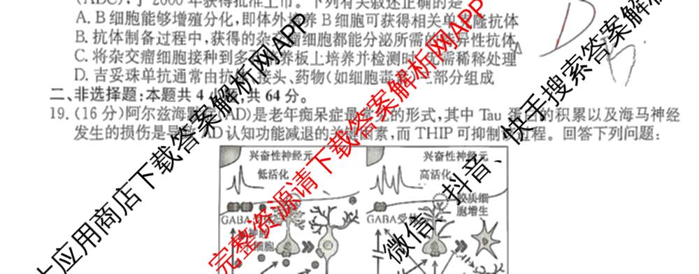 2025年全国高考仿真模拟卷(一)1（含生物(G2) 化学(G1) 历史(江西)等）生物试题