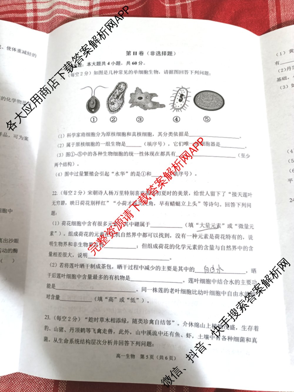 安徽省2025-2026学年度第一学期练1高一: 含数学 生物 化学试卷解析生物试题