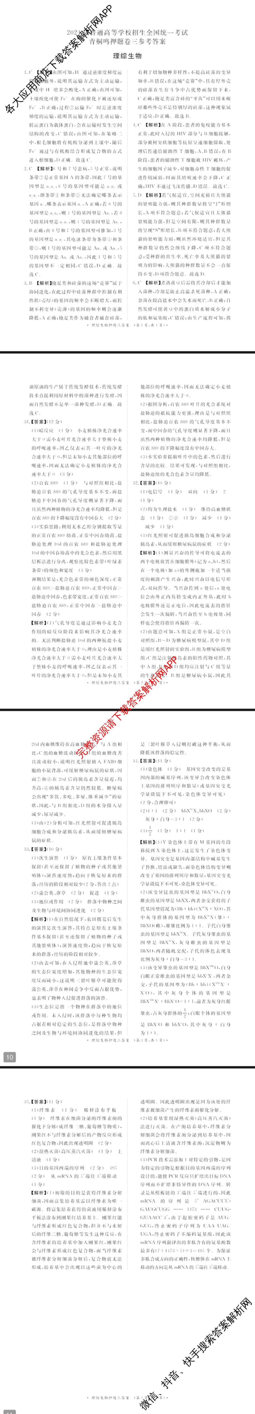 青桐鸣2024年普通高等学校招生全国统一考试青桐鸣押题卷三试卷及答案汇总(含英语(新教材)、理综(新教材)、语文(新教材)等)理综答案 青桐鸣2024年普通高等学校招生全国统一考试青桐鸣押题卷三试卷及答案汇总(含英语(新教材)、理综(新教材)、语文(新教材)等)理综答案