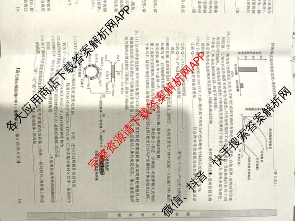 九师联盟2024~2025学年高三核心模拟卷(中)(二)2各科答案及试卷: 含政治(JX) 生物(D1) 生物(HB)试卷解析生物试题