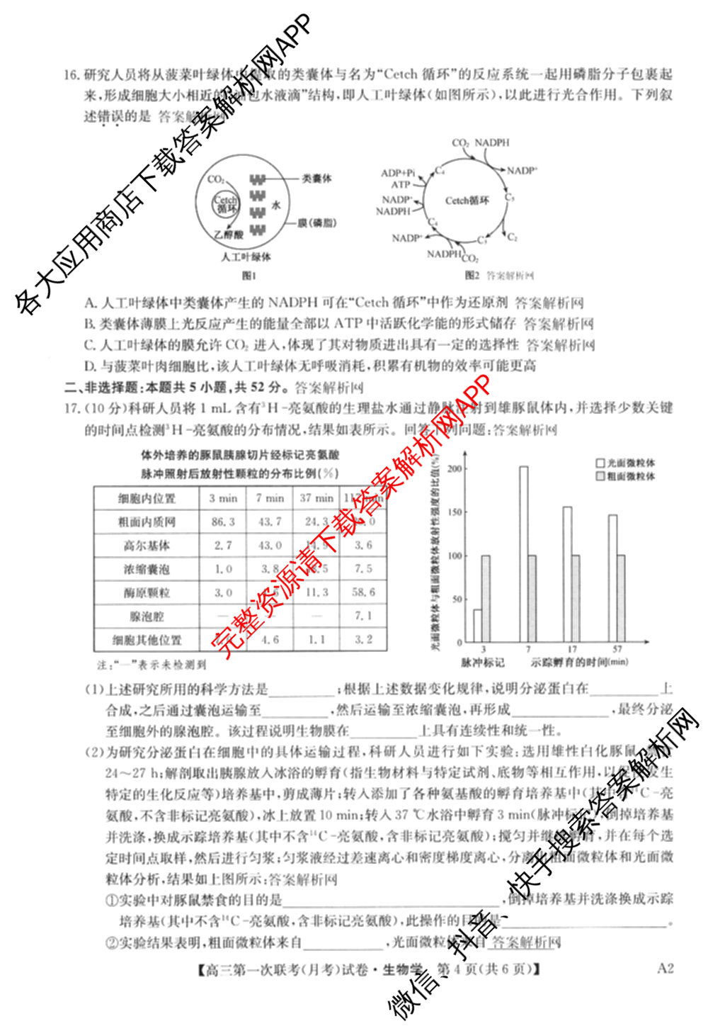 全国名校大联考2025~2026学年高三第一次联考(月考)（含历史(河南)、数学、生物(A2)等11份）生物试题