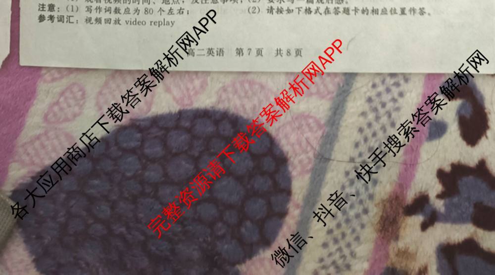 NT河北省2025-2026学年第一学期高二年级11月期中考试(一)各科答案及试卷（含政治 生物 物理等10份）英语试题