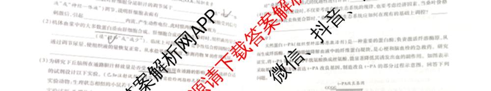 2025年陕西省高三教学质量检测(四)各科答案及试卷（含化学 历史 语文等）生物试题