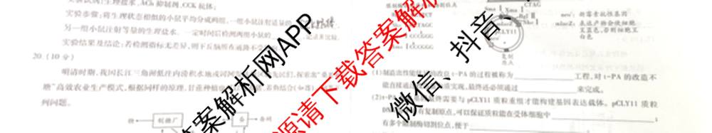 2025年陕西省高三教学质量检测(四)各科答案及试卷（含化学 历史 语文等）生物试题