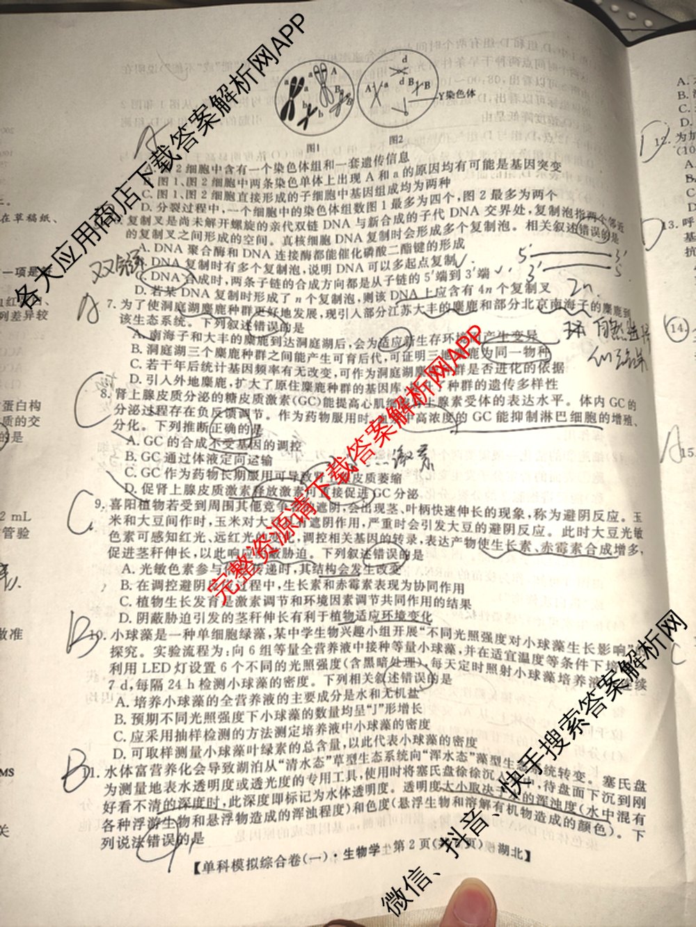 2025新高考单科模拟综合卷(三)3试卷及答案汇总（含历史(湖南) 物理(河北) 生物(河北)等36份）生物试题