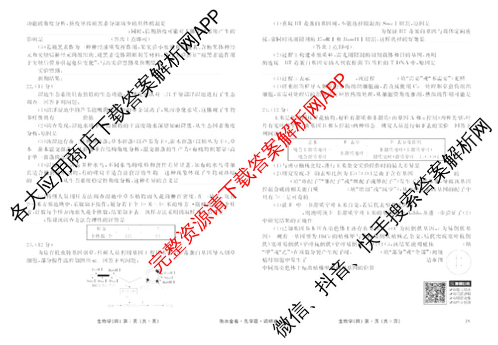 衡水金卷先享题调研卷2026年普通高等学校招生全国统一考试模拟试题(四)4(已更新生物(山东专版) 理综 历史(JS)等91份)生物试题