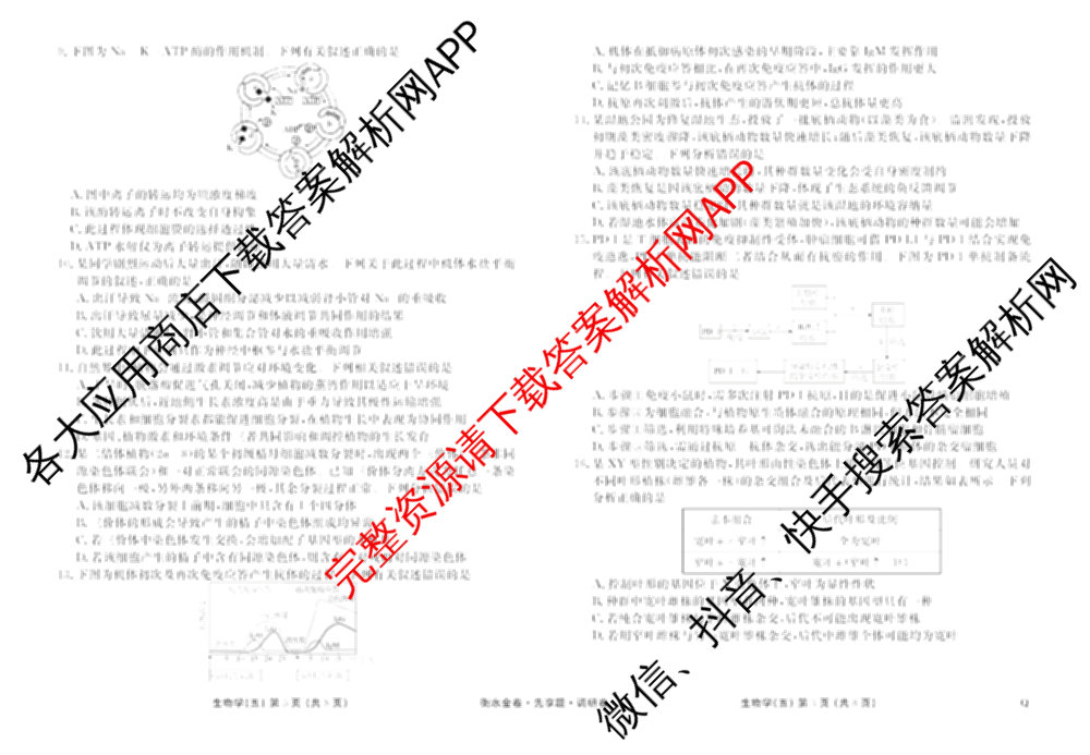 衡水金卷先享题调研卷2026年普通高等学校招生全国统一考试模拟试题(五)5各科答案及试卷（91科全）生物试题