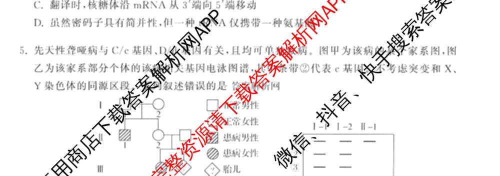 天舟高考衡中同卷2026年普通高等学校招生全国统一考试模拟信息卷(六)6试卷及答案汇总: 含化学(山东版) 英语(通用版) 生物(WY)试卷解析生物试题