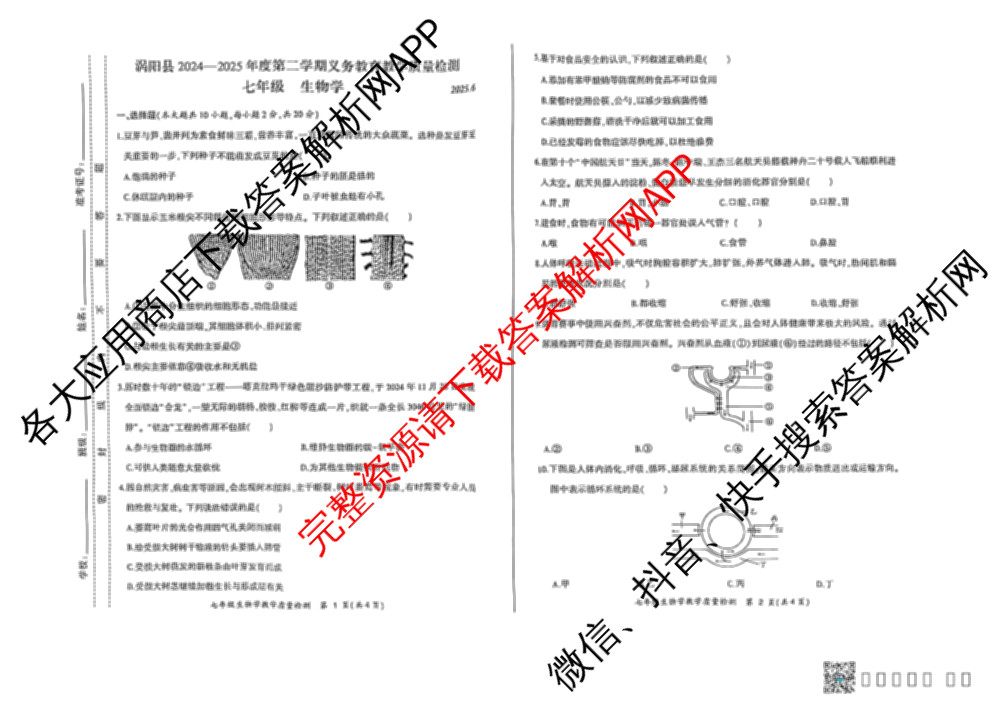 涡阳县2024-2025年度第二学期义务教育教学质量检测七年级(2025.6): 含历史、数学、语文试卷解析生物试题