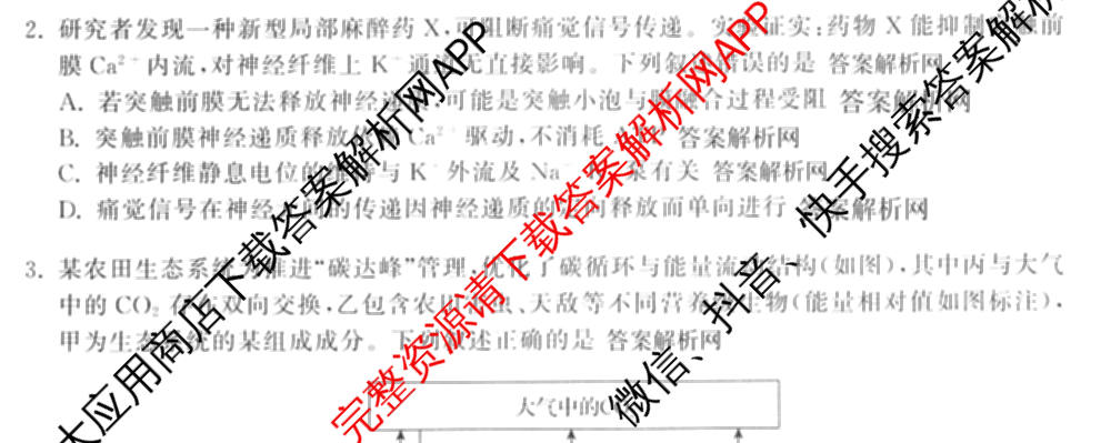 天舟高考衡中同卷2026年普通高等学校招生全国统一考试模拟信息卷(六)6试卷及答案汇总: 含化学(山东版) 英语(通用版) 生物(WY)试卷解析理综试题