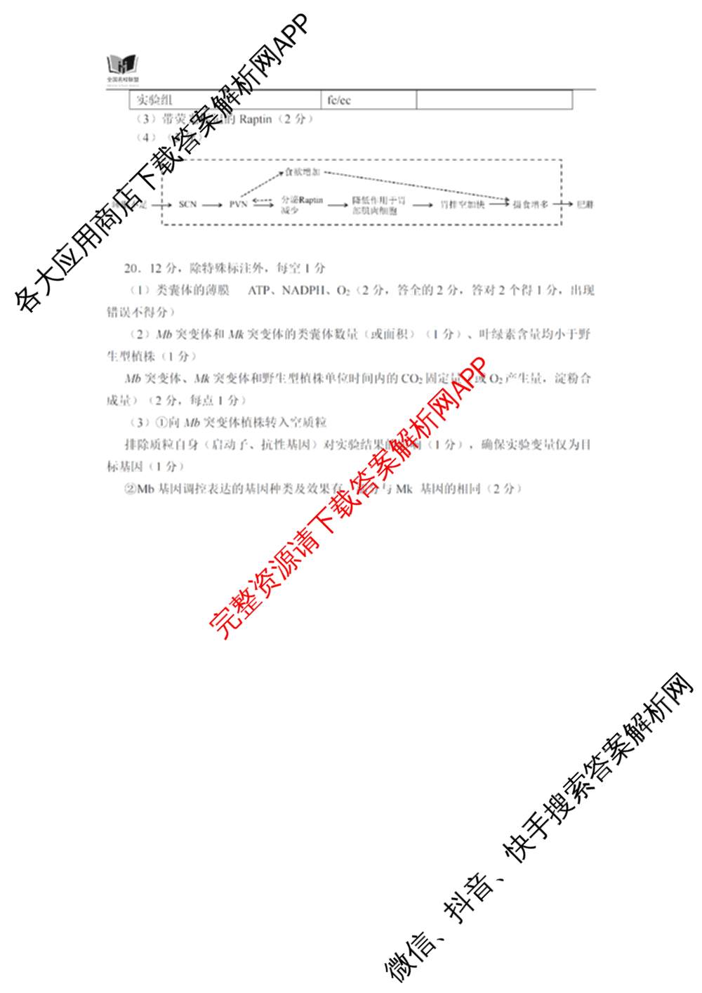 全国名校联盟2026届高三联合开学模底考试2025.8试卷及答案汇总（10科全）生物答案
