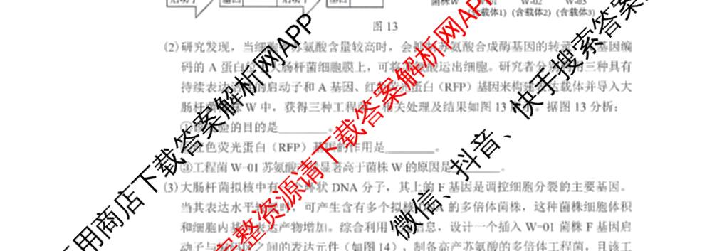 梅州市高三总复质检试卷(2026.3)[试卷类型:A]（含历史、语文、数学等9份）生物试题