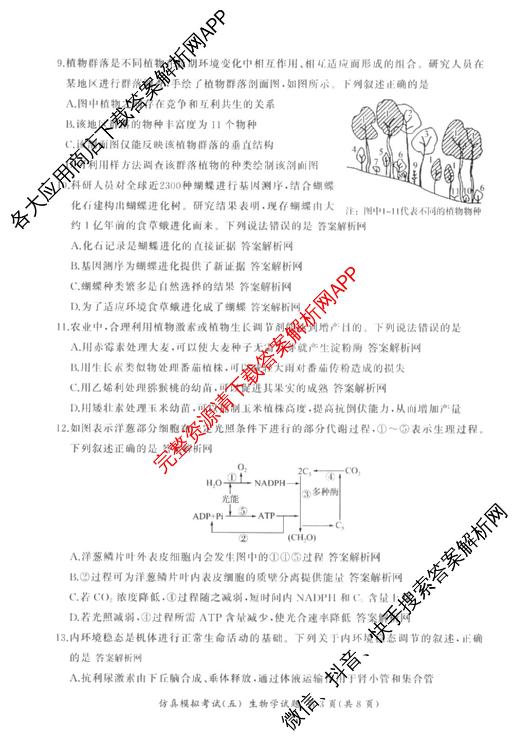 百师联盟2026届高三仿真模拟考试(五)各科答案及试卷（含物理(百E)、数学(百B)、地理(百N)等）生物试题