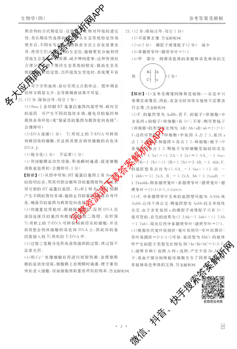 衡水金卷先享题调研卷2026年普通高等学校招生全国统一考试模拟试题(四)4试卷及答案汇总(已更新生物(Y) 政治(FJ) 地理(HJ)等31份)生物答案