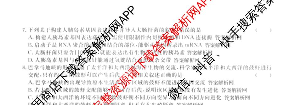 2026届高三总复名师原创模拟(十二)12各科答案及试卷(已更新化学(XS6J) 生物(GDX6) 生物(XS6)等39份)生物试题