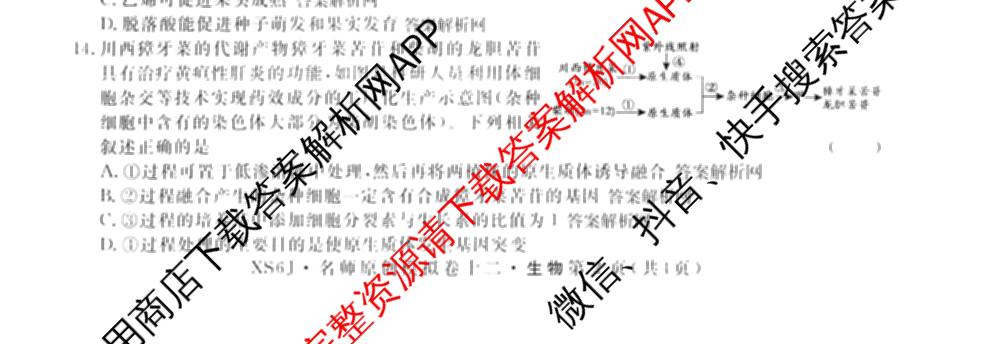 2026届高三总复名师原创模拟(十二)12各科答案及试卷(已更新化学(XS6J) 生物(GDX6) 生物(XS6)等39份)生物试题