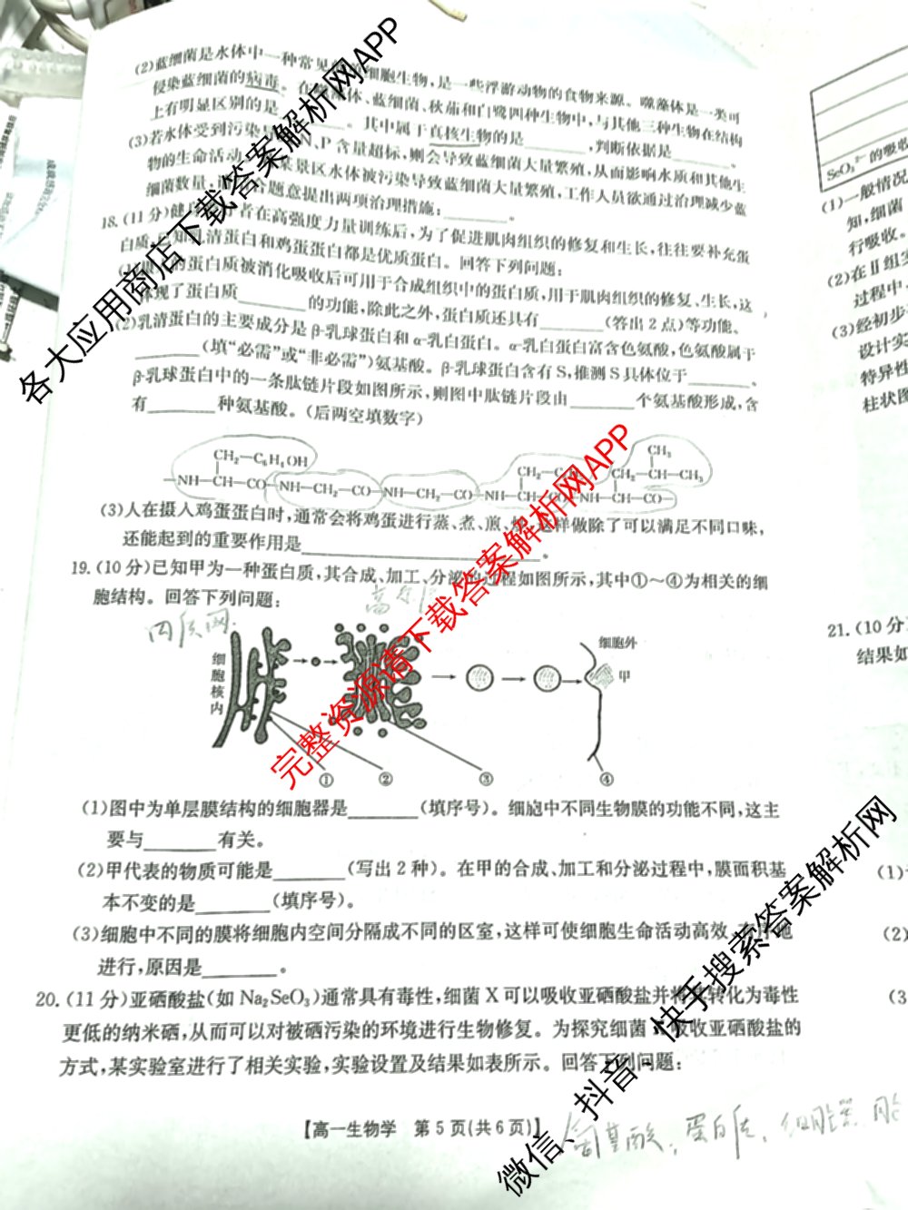 陕西省2025-2026学年高一年级考试(12.16)试卷及答案汇总（10科全）生物试题